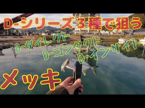 メッキ！D-コンタクト  D-ダイレクト  D-インサイト！