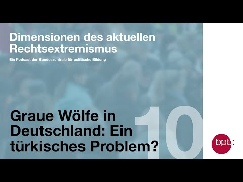 Graue Wölfe in Deutschland: Ein türkisches Problem?