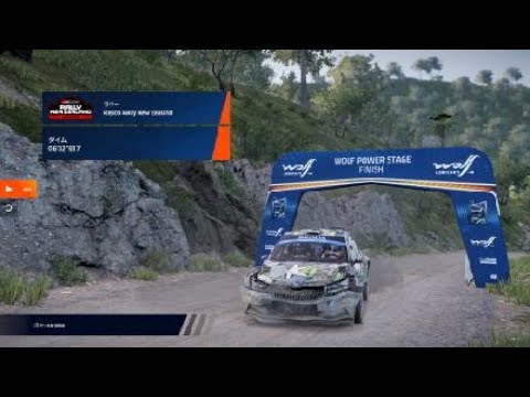 WRC Generations – The FIA WRC Official Game_20241210090056