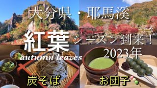 【大分県】耶馬溪の紅葉とグルメ巡り！一目八景・渓石園・青の洞門🍁