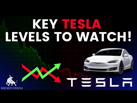 Tesla Stock Price Analysis | Top Levels To Watch for November 27th, 2024