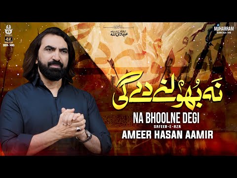 Nohay 2024 | Na Bhool Ne Degi | Ameer Hasan Aamir Noha 2024 | Noha Shehzadi Zainab (s.a)