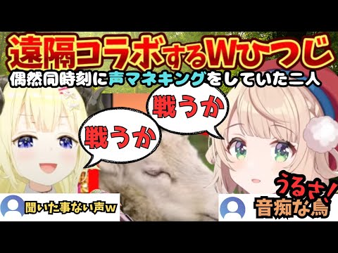 "私はわため！"かわいすぎるゴジラVS激しすぎるゴジラで争うひつじ達の貴重な泣き声めぇ〜【しぐれうい／角巻わため／ホロライブ／うい切り抜き／わため切り抜き／声マネキング／ういわた】