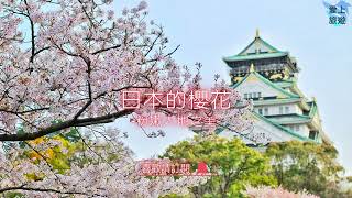 ✈圓夢之旅✈2023年邂逅日本【櫻花 Sakura】