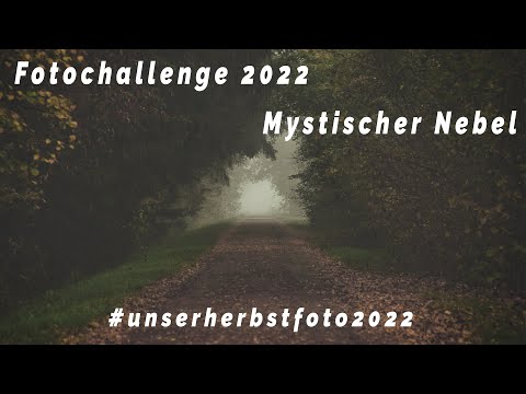 Fotochallenge 2022 - #unserherbstfoto2022 - Mystischer Nebel | Sony A6500 | DJI Pocket 2 | DJI AIR2S