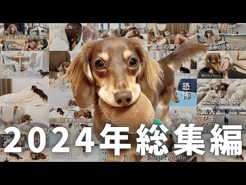 この1年間を一気見！2024年の可愛いを詰め込みました