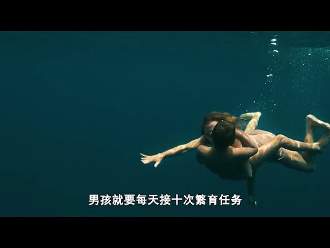 女人要靠男孩生孩子，男孩小小年紀就要負擔起繁育後代的重任#電影解說#進化島#Evolution