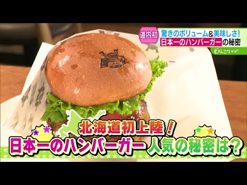 北海道初上陸！日本一のハンバーガー！人気の秘密は？【どさんこワイド179】2024.11.04放送