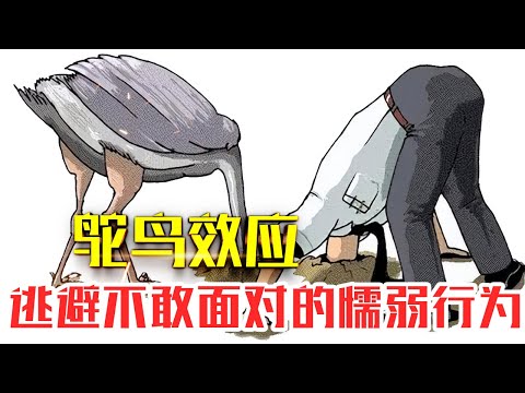 什么是【鸵鸟效应】？|20分钟了解鸵鸟效应|逃避心态,不敢面对的懦弱行为#人生智慧#好書推薦#人性#经典传奇#每天读本书#读书笔记#读后感