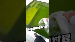 泳池清理的过程 #乐趣