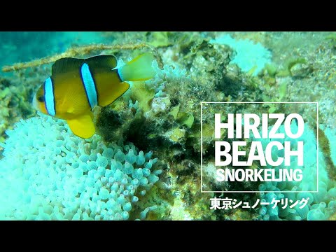 ＃３ヒリゾ浜でシュノーケリング（2018年8月）【東京シュノーケリング】