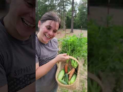 She makes it look easy!#harvest #garden #carrots