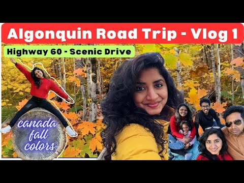 🍁 Let's go on a Scenic Road trip to experience the beautiful fall colours in Algonquin, Canada🍁