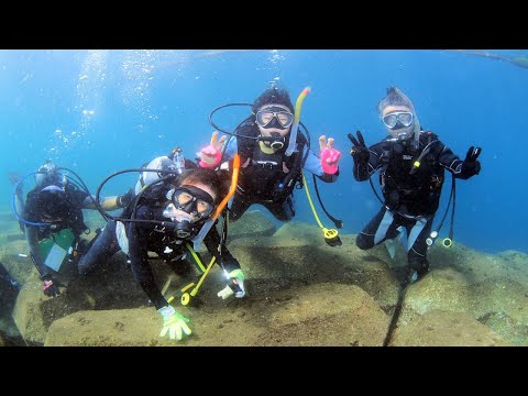 伊豆の海！穏やか！ベタなぎ！キラキラの平沢で楽しく潜ってきましたよぉ！