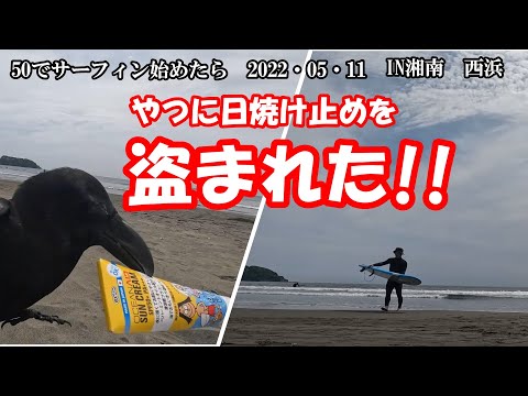 【衝撃】湘南でカラスに日焼け止め盗まれた！50でサーフィン始めたら。湘南西浜でのド初心者サーフィン。52才の誕生日を１人海で過ごす。