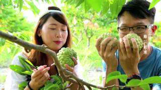 Beyond Sweet-Taiwan's Fruit  台灣水果 - 超越甜蜜