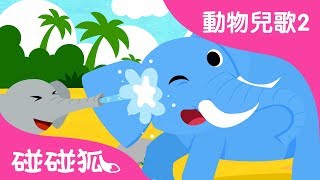 大象 | 動物兒歌2 | 2017 | 碰碰狐Pinkfong