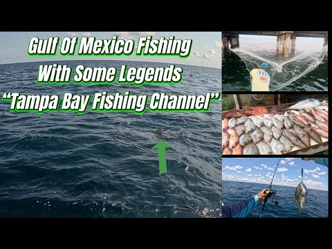 Exploring the Gulf of Mexico: Epic Fishing Adventures with 'Tampa Bay Fishing Channel' Legends!#tbfc