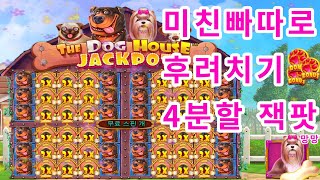 [슬롯][슬롯머신] 💥더 도그하우스 멀티홀드:The Dog House Multiwold💥미친빠따형님의 931배 (시청자 제보영상) #슬롯 #슬롯머신 #프라그마틱 #슬롯베어스