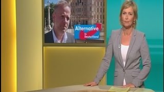 NDR Nordmagazin 08/26/2016 - party idea AfD