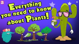 Everything You Need To Know About Plants | Source Of Oxygen | The Dr Binocs Show | Peekaboo Kidz