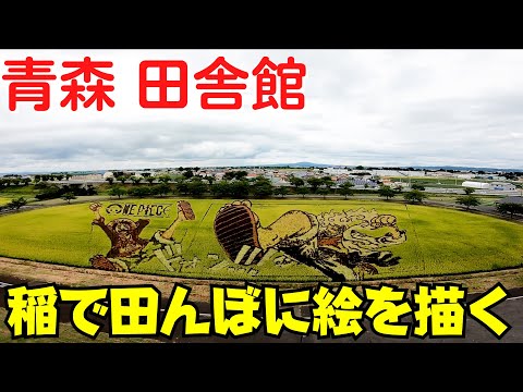 【青森の田んぼアート】 2023年 青森県田舎館村 田舎館村役場は『棟方志功』と『フェルメール』 道の駅は『ワンピース』【10月まで】