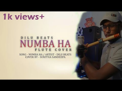 Numba Ha (Suraganak Wilasa) @DILUBeats Flute Cover