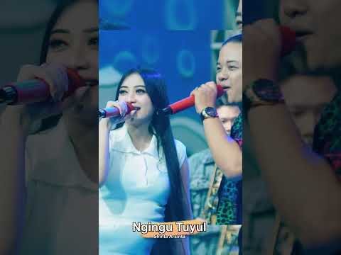 #Ngingutuyul #dsarecord #shintaarshinta #dangdutkoplo #dangdut  #shinta #dsmanagement #koplo