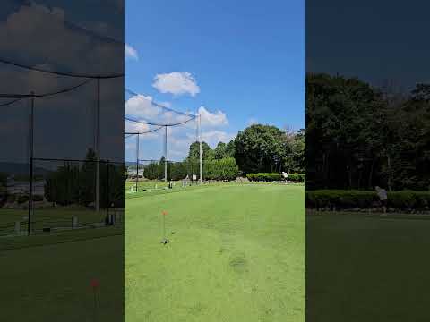 20yardアプローチ練習#golf #golfshorts #ゴルフ練習動画 #ゴルフスイング