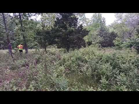 Dry Creek Hunting Dogs Rabbit Hunting May 13 2024