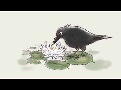 ラジオドラマ『カラスと睡蓮』