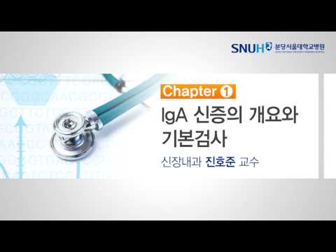 신장내과 건강강좌 Chapter 1. lgA 신증의 개요와 기본검사 (신장내과 진호준 교수)