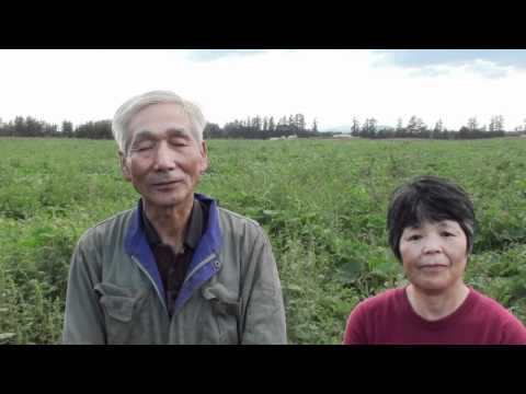 有機生産者インタビュー　十勝野菜村　遠藤　内査勝さん