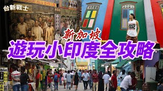 新加坡遊玩小印度全攻略 2024年遊玩新加坡