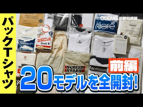 【全20モデル】パックΤシャツを開封&レビュー！ヘインズのビーフィー、オニータetc.【前編】