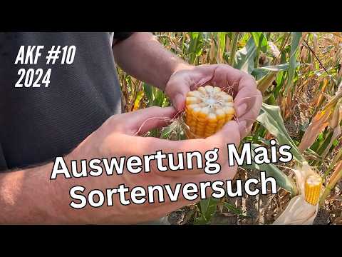 AKF #10 Evaluation of corn variety trial