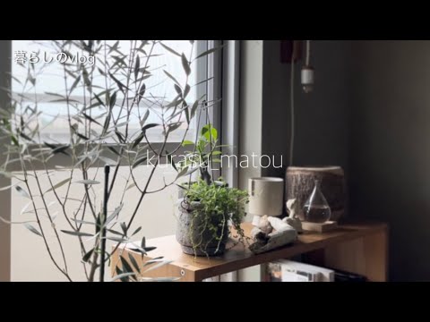 植物コーナーを作りました/ I made a plant corner /シンボルツリー/バタートーストとトマトのブルスケッタ/すだちそば/ワンピのリメイク完成/団地暮らし