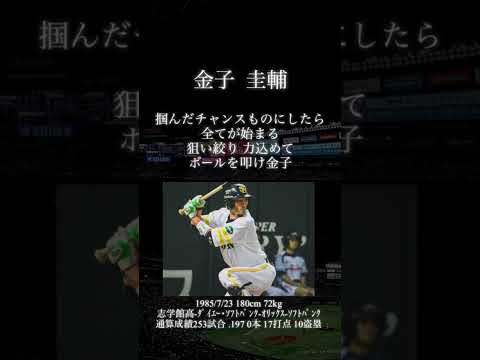 【吹いてみた】金子圭輔応援歌【福岡ソフトバンクホークス･オリックスバファローズ】#プロ野球 #トランペット #応援歌 #吹いてみた