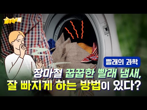 [꿀TIP톡 EP2] 장마철 꿉꿉한 빨래 냄새! 잘 빠지는 방법은?