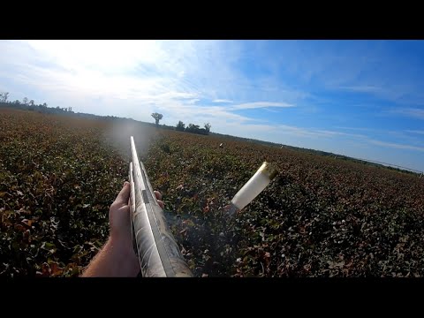 SC Deer Dog Drives 10/08/2022: Brock gets redemption in the cotton field.