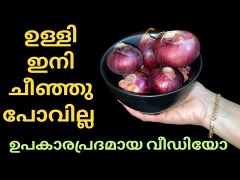 ഉള്ളി ഇങ്ങനെ ഒന്ന് ചെയ്ത നോക്കു/how to store onions for long time [kitchen tips Malayalam]