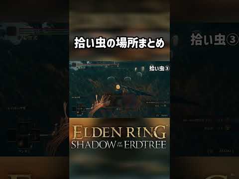 【エルデンリング】拾い虫全6体場所まとめ※注意点ありコメ欄 Ver1.12.3【ELDEN RING】裏技 ボス攻略 #eldenring 製法書 ムーアイベント