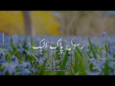 Rasool Paak 'ﷺ' Ki Bargah Me Hajir Hoke Ek Shakhs Ne Kaha 🥀 | Islamic WhatsApp Status |