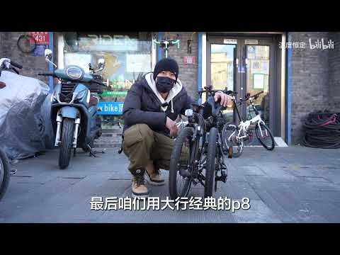 小布Brompton、鳥車birdy、大行DAHON.