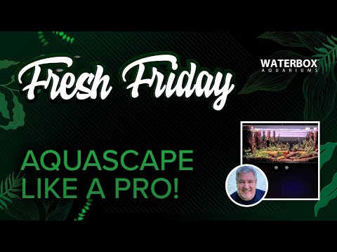 Creating Depth in your aquarium with Joe Brunner.