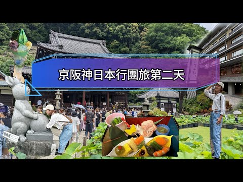 『旅遊VLOG』日本大阪Day2 。差點迷失在繡球花裡 日本茶道真的好優雅 #京都旅遊 #日本茶道