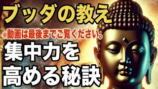 集中力を高める秘訣｜ブッダの教え