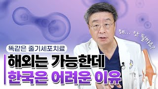 [연세사랑병원] 똑같은 줄기세포치료, 해외는 가능한데 한국은 어려운 이유는?!