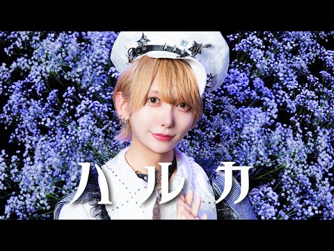 【アイドル最後に】ハルカ / YOASOBI 歌って踊ってみた【いりぽん / ベアードアード】