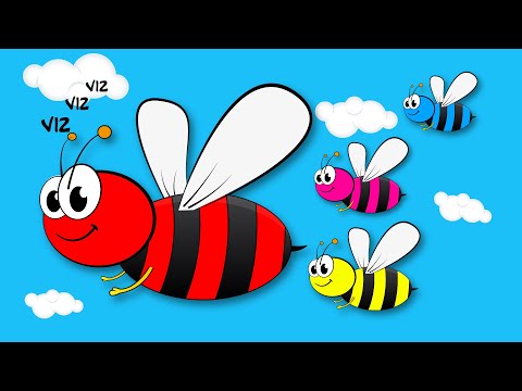 Ari Viz Viz / Bee and Colors / Numbers / Akn Kids House